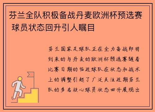 芬兰全队积极备战丹麦欧洲杯预选赛 球员状态回升引人瞩目